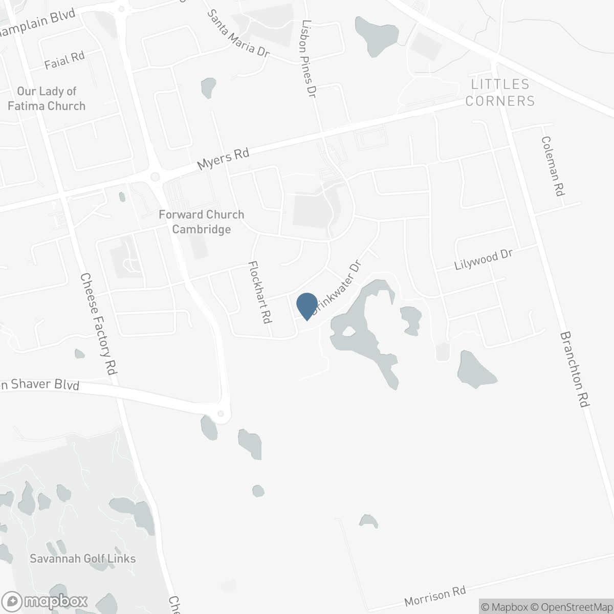 95 DRINKWATER Drive, Cambridge, Ontario N1P 1G5